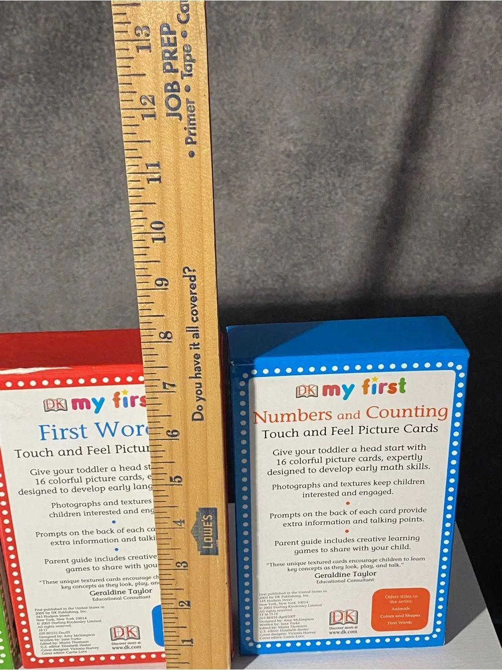 My First First Words Touch and Feel Picture Cards Red Blue And Green